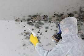 Why You Should Choose Our Mold Remediation Services in Luverne, AL